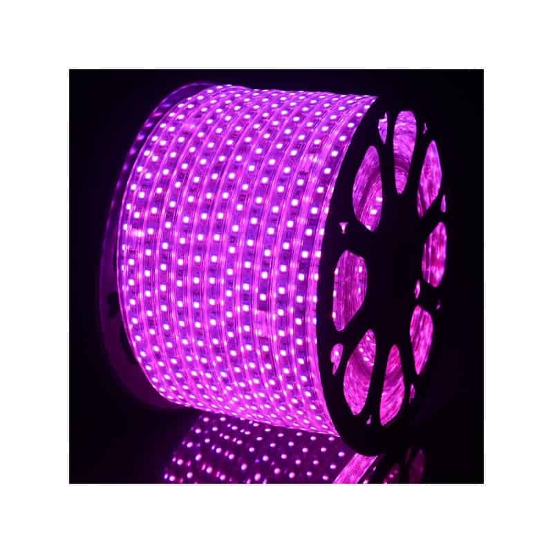 Ruban LED 220V Violet