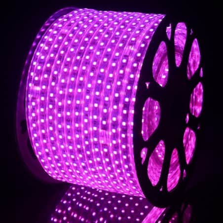 Ruban LED 220V Violet