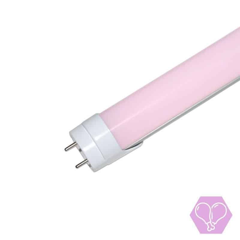 Tube LED T8 120cm 18W boucherie