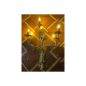 Ampoule E14 1W Ampoule E14 1W