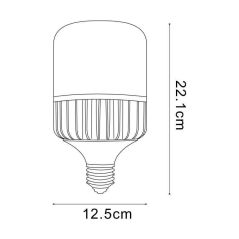 Ampoule E27 50W T125