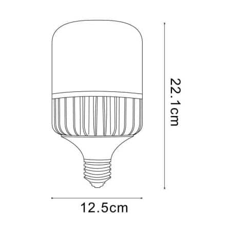 Ampoule E27 50W T125