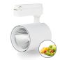 Projecteur intérieur monophasé 30W Fruits et légumes Projecteur intérieur monophasé 30W Fruits et légumes