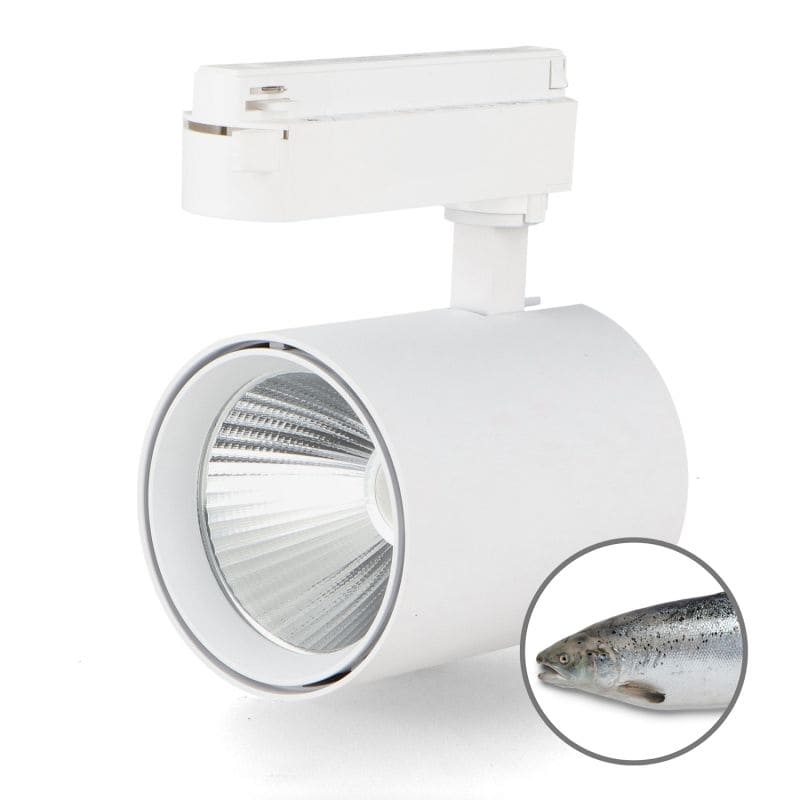 Projecteur intérieur monophasé 30W Poissonerie Projecteur intérieur monophasé 30W Poissonerie