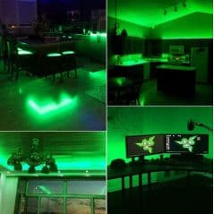 Ruban LED 24V Vert 12W/m IP65