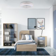 Ventilateur de Plafond 36W RGB+CCT