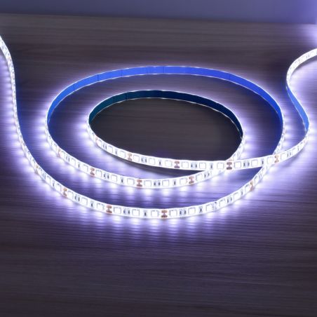 Ruban LED 24V Blanc Froid
