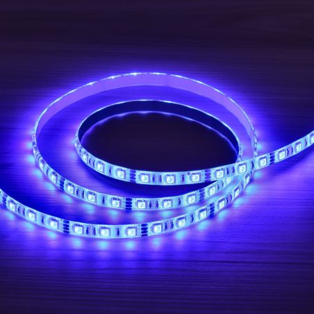 Ruban LED 24V Bleu 12W/m IP65