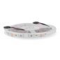 Ruban LED 24V 14W/m IP65 RGBW - Bande lumineuse multicolore + Blanc Froid 6000K étanche