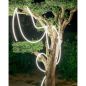 Néon LED flexible 12V Blanc Froid 7W/m IP65 - Bande lumineuse étanche extérieur et intérieur Néon LED flexible 12V Blanc Froid 7W/m IP65 - Bande lumineuse étanche extérieur et intérieur