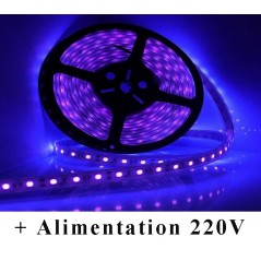 Kit Ruban LED Violet 12V-230V