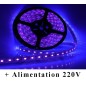 Kit Ruban LED Violet 12V-230V Kit Ruban LED Violet 12V-230V
