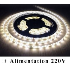 Ruban LED 12V SMD2835 60 LEDs/m IP54 Blanc Chaud 2700K avec Alimentation 12V-230V – Option Contrôleur RF 12V