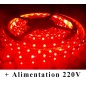 Kit Ruban LED Rouge 12V-230V Kit Ruban LED Rouge 12V-230V