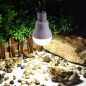 Ampoule solaire 15 LED