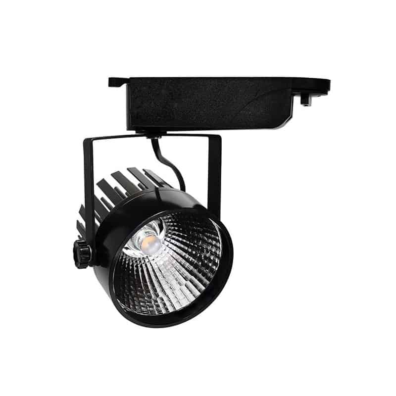 Projecteur intérieur monophasé 25W Noir