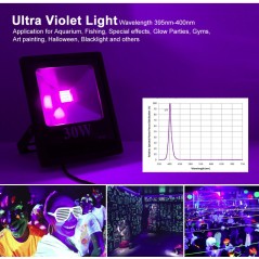 Projecteur Ultra-Violet 20W 