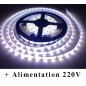 Kit Ruban LED 24V-230V Blanc Froid Kit Ruban LED 24V-230V Blanc Froid