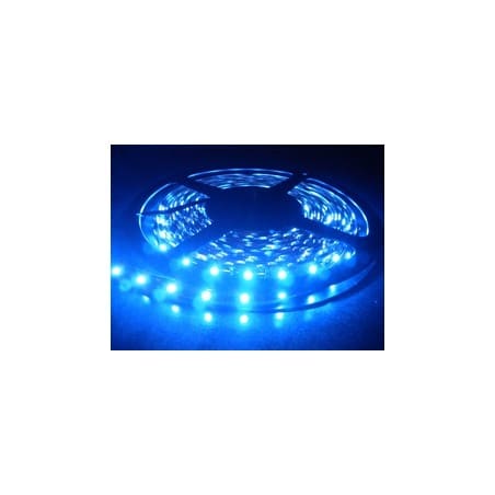 Kit Ruban LED Bleu 12V-230V