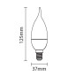 Ampoule E14 6W Flamme