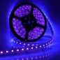 Ruban LED 12V Violet